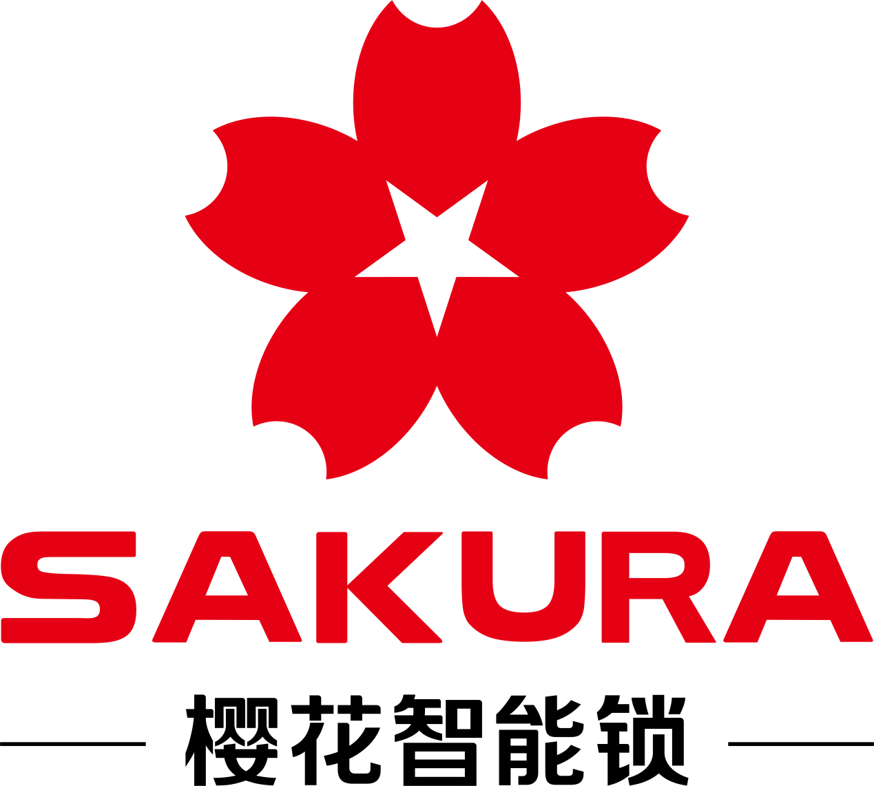 迭代盘点：未来家居必入单品推荐EVO视讯智能锁十大品牌技术(图3)